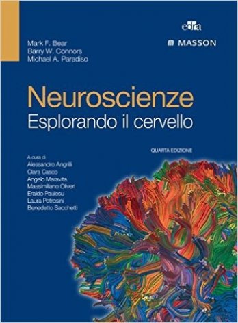 Neuroscienze. Esplorando il cervello