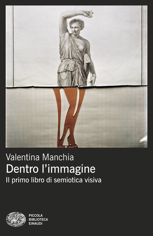 Dentro l'immagine. Il primo libro di semiotica visiva