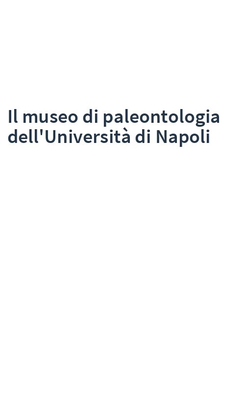 Il museo di paleontologia dell'Università di Napoli