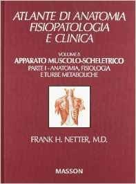 Apparato muscolo-scheletrico - Parte I