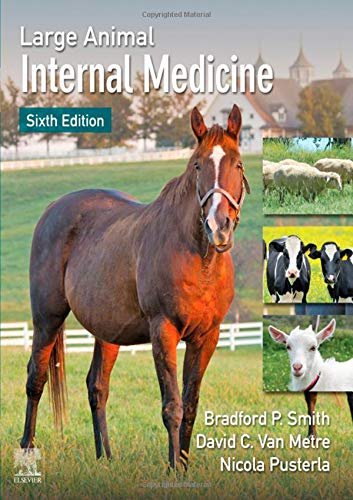 Large Animal Internal Medicine