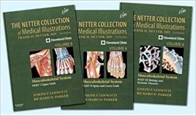 NETTER COLLECTION OF MEDICAL ILLUSTRATIONS MUSCULOSKELETAL SYSTEM PACKAGE VOL 6