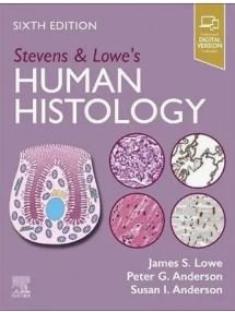 Stevens & Lowe's Human Histology
