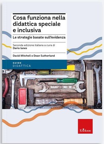 Cosa funziona nella didattica speciale e inclusiva. Le strategie basate sull'evidenza