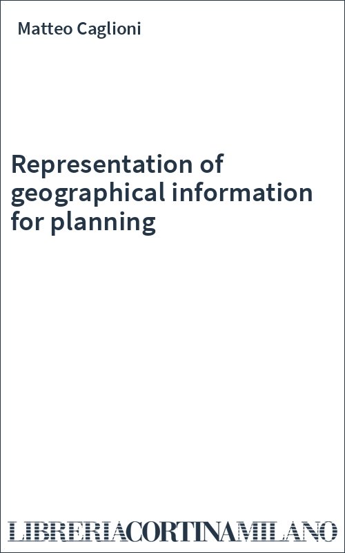 Representation of geographical information for planning