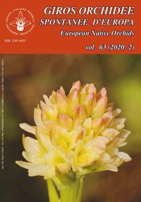 Giros. Orchidee spontanee d'Europa