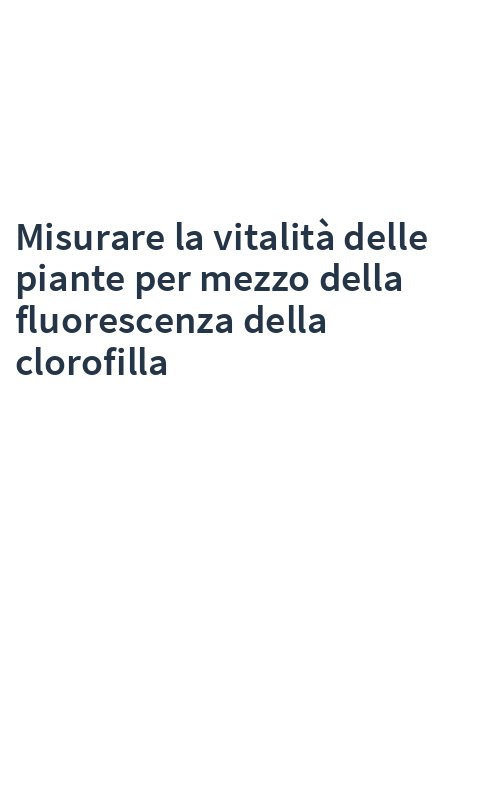 Misurare la vitalità delle piante per mezzo della fluorescenza della clorofilla