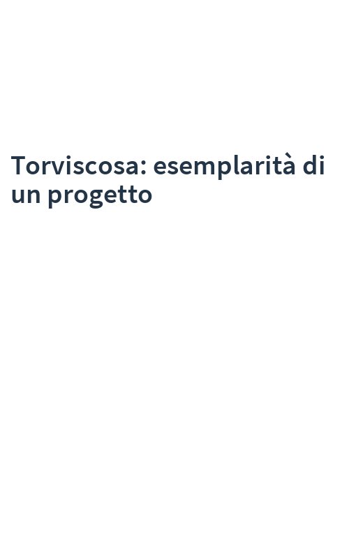 Torviscosa: esemplarità di un progetto