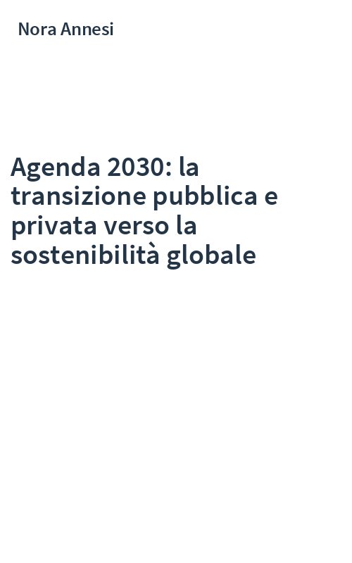 Agenda 2030: la transizione pubblica e privata verso la sostenibilità globale