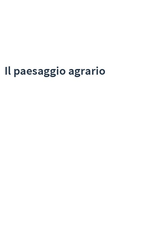Il paesaggio agrario