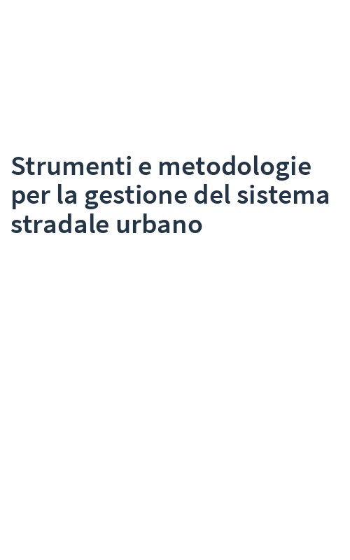 Strumenti e metodologie per la gestione del sistema stradale urbano