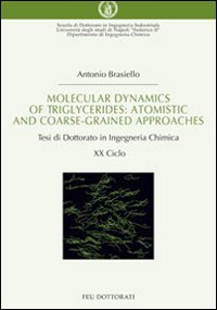Molecular dynamics of triglycerides. Atomistic and coarse-grained approaches. Tesi di dottorato in ingegneria chimica