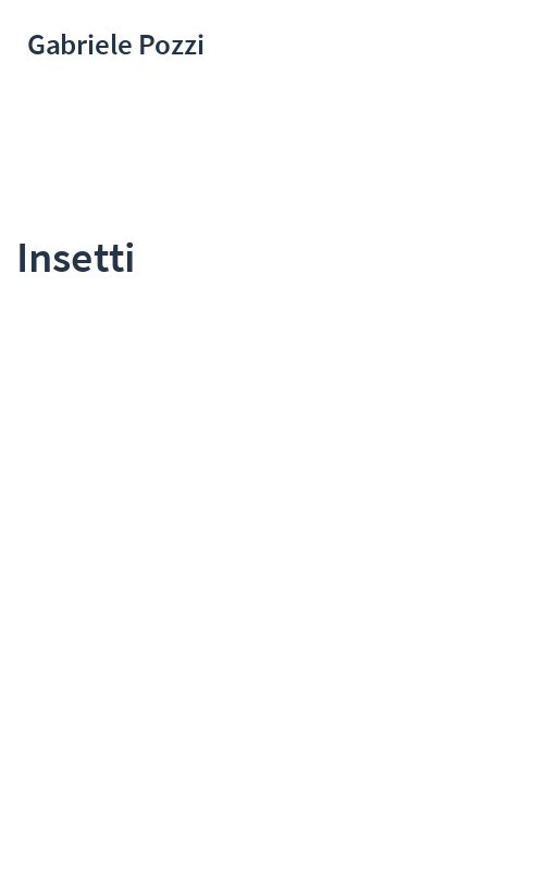 Insetti