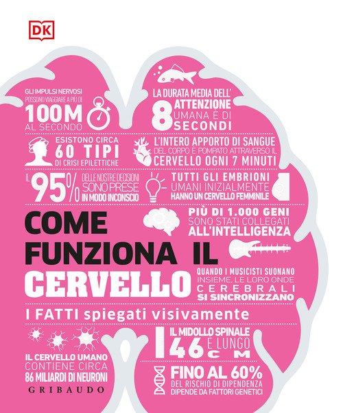 Come funziona il cervello. I fatti spiegati visivamente