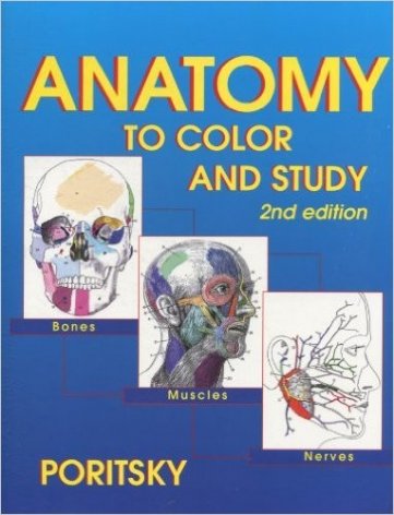 Anatomy to Color and Study