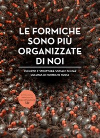 La società delle formiche
