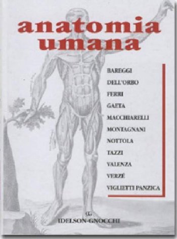 Anatomia umana