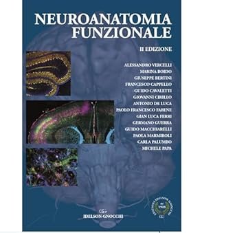 Neuroanatomia funzionale
