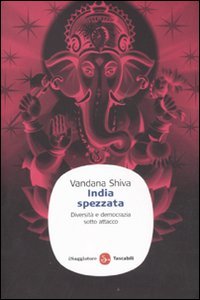 India spezzata. Diversità e democrazia sotto attacco