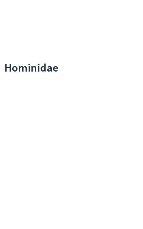Hominidae