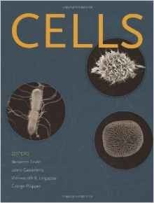 Cells