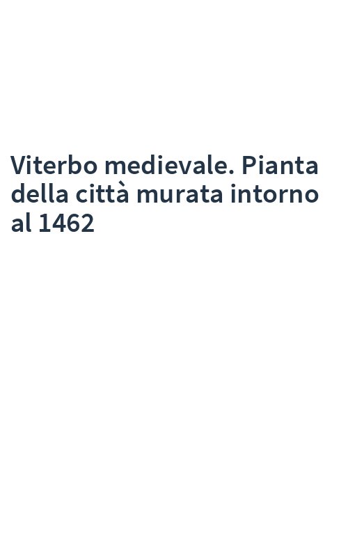 Viterbo medievale. Pianta della città murata intorno al 1462
