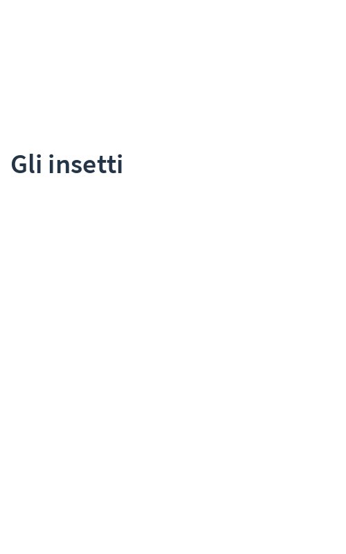 Gli insetti