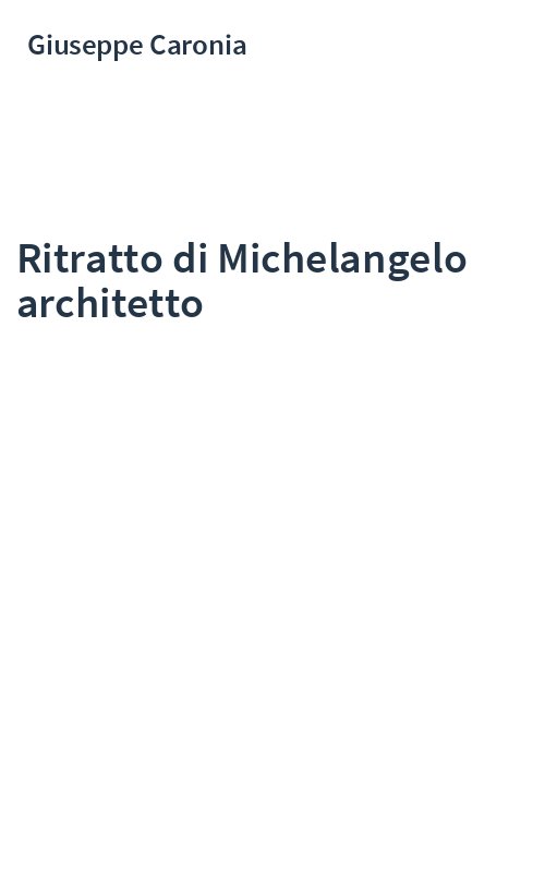 Ritratto di Michelangelo architetto