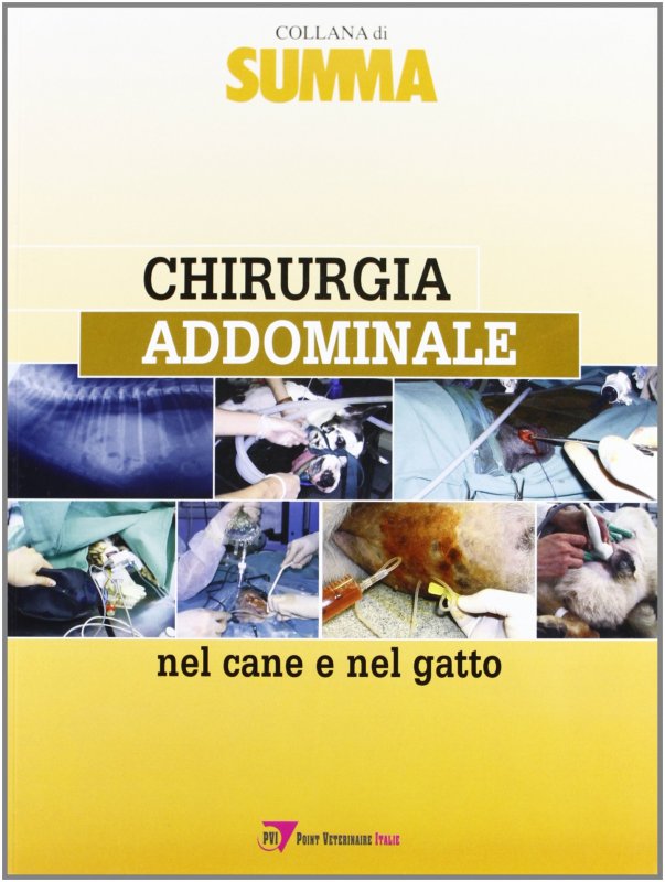 Chirurgia addominale nel cane e nel gatto