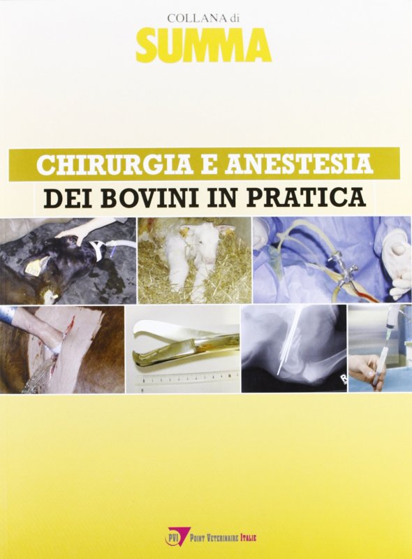 Chirurgia e anestesia dei bovini in pratica