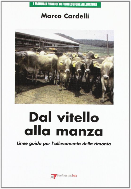 Dal Vitello alla manza: linee guida per l'allevamento della rimonta