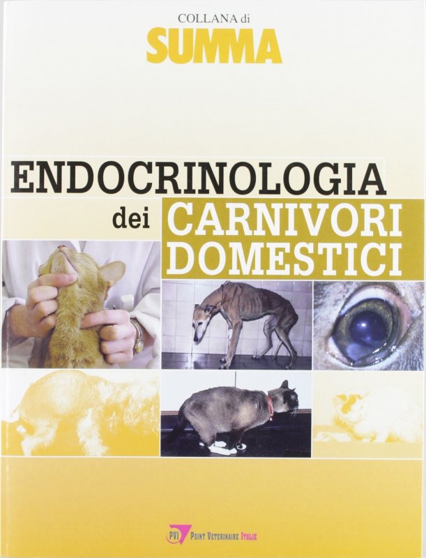 Endocrinologia dei carnivori domestici