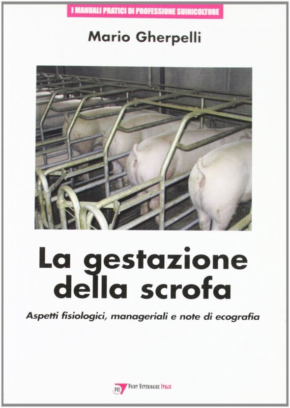 La gestazione della scrofa: aspetti fisiologici, manageriali e note di ecografia