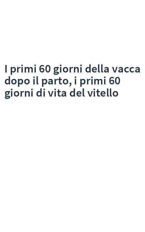 I primi 60 giorni della vacca dopo il parto, i primi 60 giorni di vita del vitello