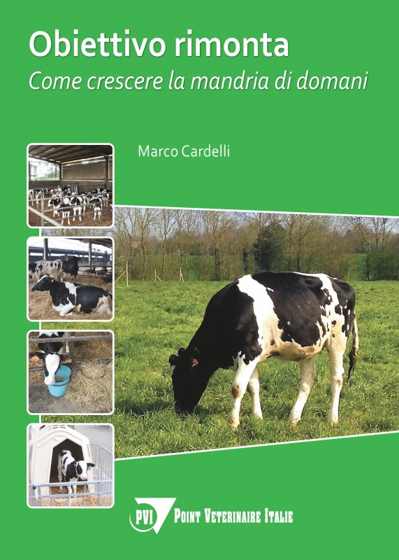 Obiettivo rimonta. Come crescere la mandria domani