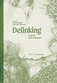 Delinking. Lo spazio della coesistenza