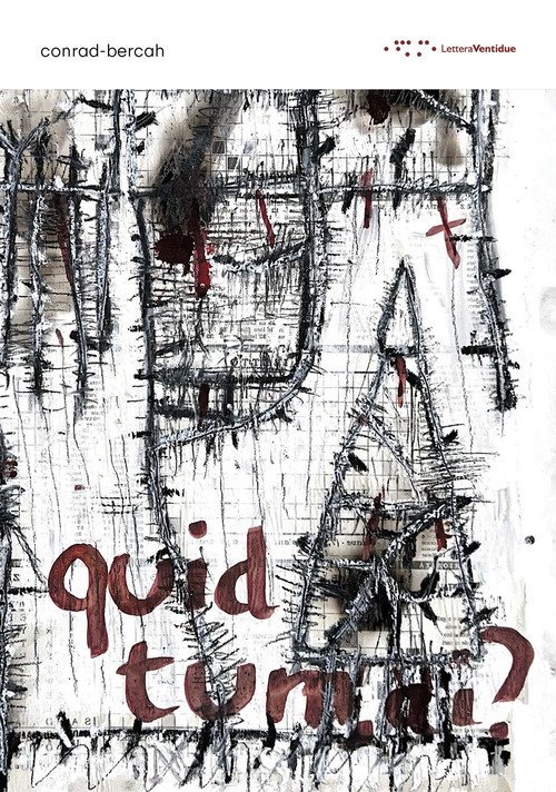 Quid tum, ai? Ediz. italiana e inglese