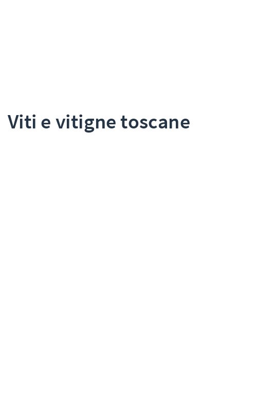 Viti e vitigne toscane