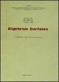 Algebraic surfaces