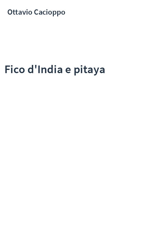 Fico d'India e pitaya