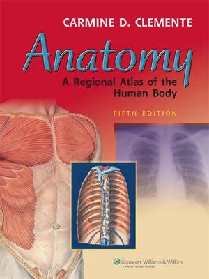 Anatomy