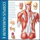 CORPUS HUMANUM