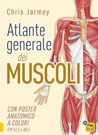 Atlante generale dei muscoli