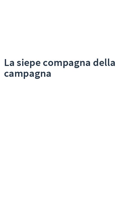 La siepe compagna della campagna