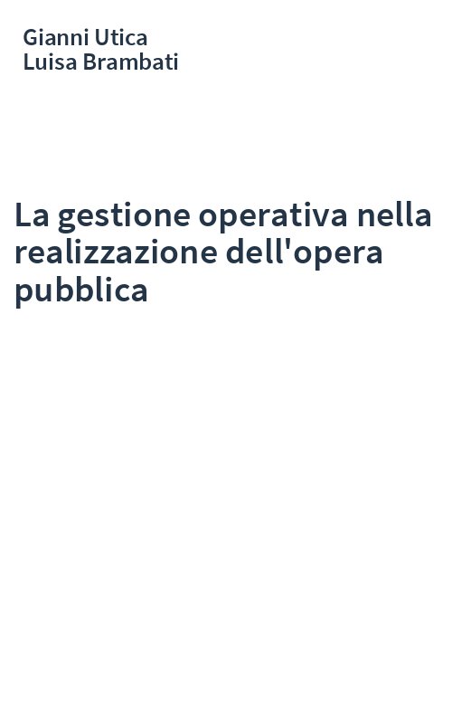 La gestione operativa nella realizzazione dell'opera pubblica