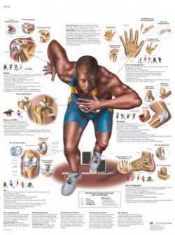 Lesioni in seguito ad attività sportiva