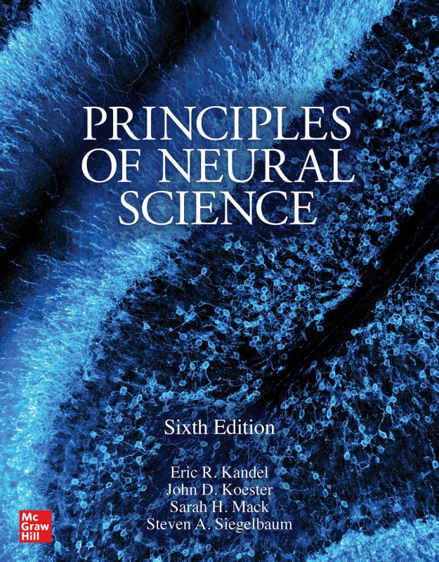 Principles of neural science