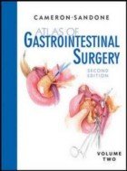 ATLAS OF GASTROINTESTINAL SURGERY VOL. 2