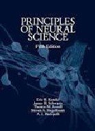 Principles of neural science