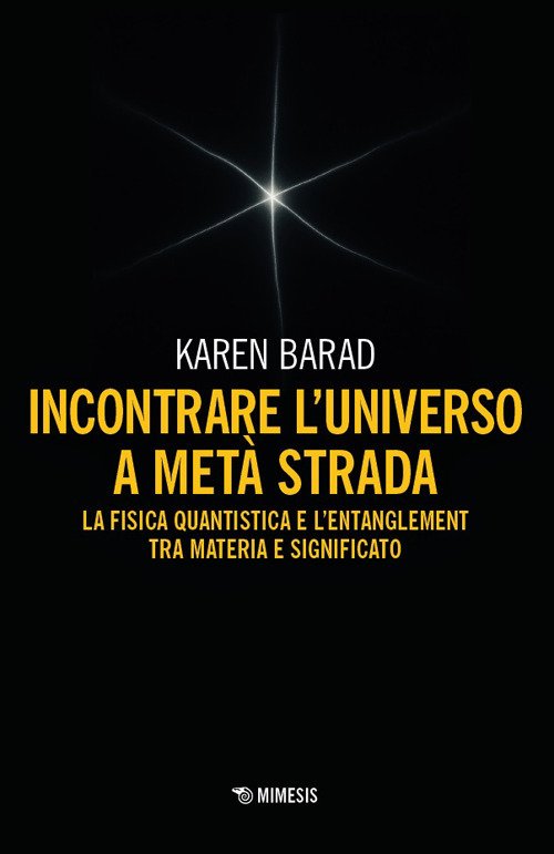 Incontrare l'universo a metà strada. La fisica quantistica e l'entanglement di materia e significato